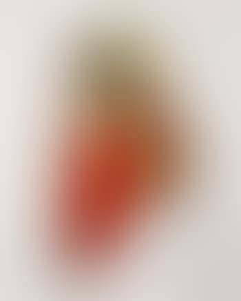 Popsicle, Hamburger, Price (preview)