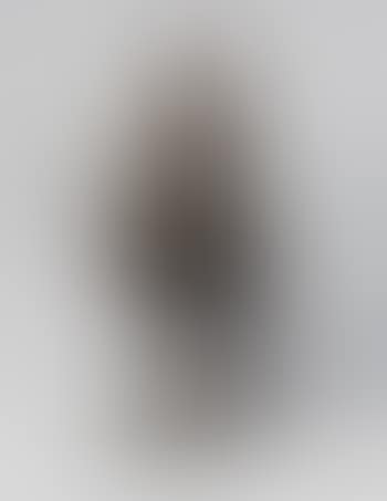 Palmesel (preview)