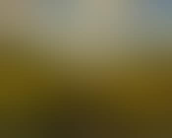 Landschaft im Schwarzwald (preview)