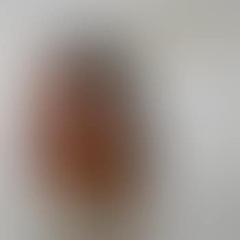 Head of a Native American (preview)