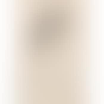 The picture book (no. 1) (Breeskin 176) (preview)