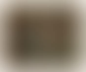Paysage de Le Piquey (preview)