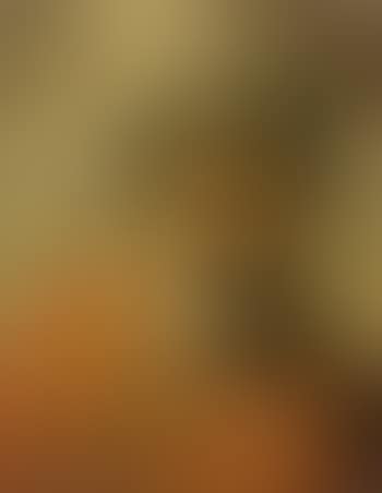 Studie eines Apostels (preview)