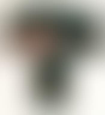 5 C (Self Portrait) (preview)