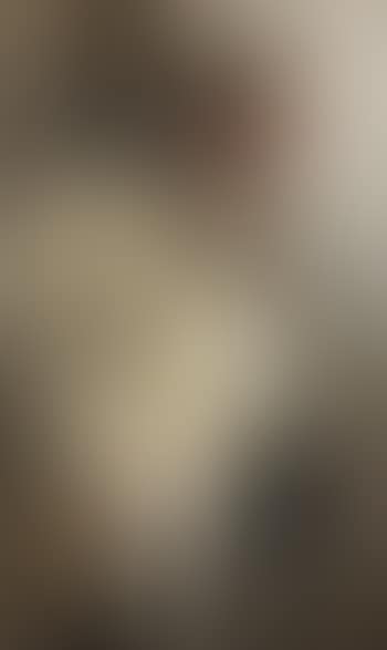 Portrait (preview)