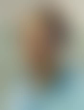 Bildnis der Susanne Geiser-Egger. (preview)
