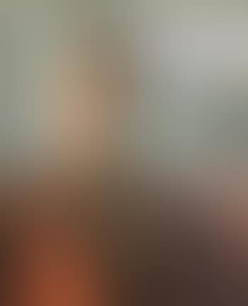Bildnis der Anna Amiet. (preview)
