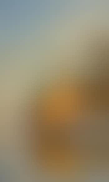 Uferpartie am Nil. (preview)