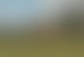 Sommerliche Alp mit Bauernhof. (preview)