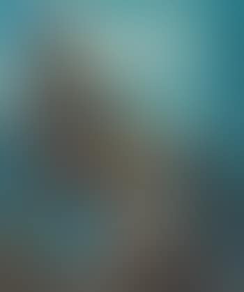 Arve. (preview)