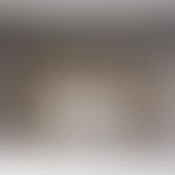The Zodiacal Light (preview)
