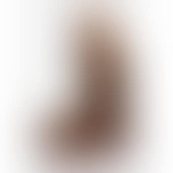 Meme LXXIX (preview)