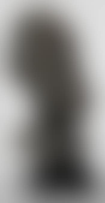 Second Portrait Of George Bernard Shaw (preview)