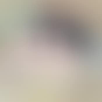 Head (Kuwana City) (preview)