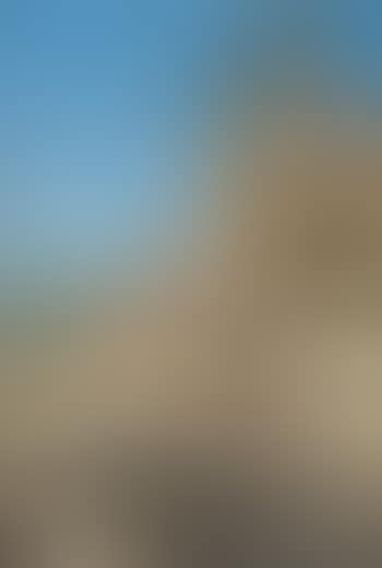 Viale assolato (preview)