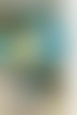 Untitled (preview)