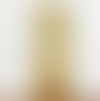 Door (preview)