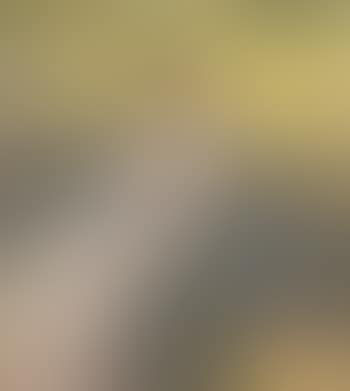 Jeune Femme Assise dans le Jardin (preview)