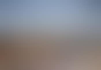Paysage de Provence (preview)