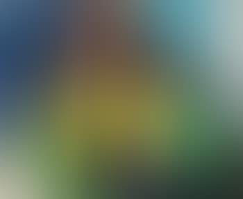 Bevitrice in giallo (preview)