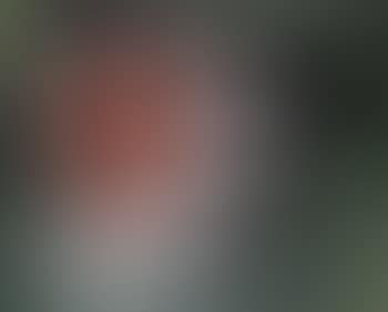 88B (preview)