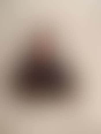 Comte Charles Ferdinand Buol-Schauenstein (preview)