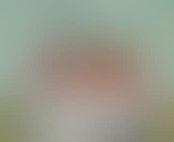 Nature Morte (preview)