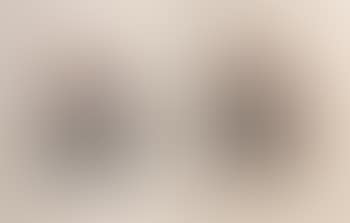 Comte Stanislas Blacas d’Aulps. Gustave de Struve (preview)
