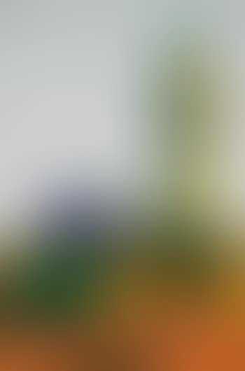 Oman (preview)