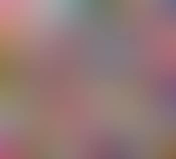 Le cose nascono dalla necessità e dal caso (preview)