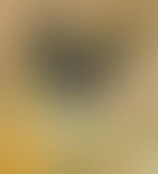 Bowl of Goldenrod (preview)