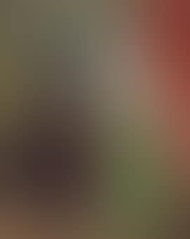 The Arnolfini (after Van Eyck) (preview)
