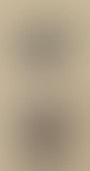 Hanging Scroll (preview)