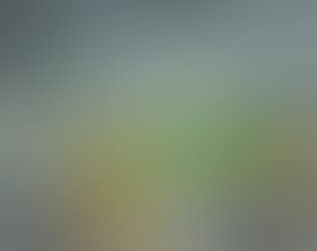 Terre Sage (Composition 25f) (preview)