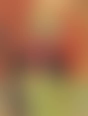 Study For Carnival Of Huejotzingo (preview)