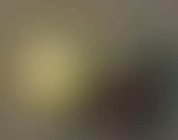 Still Life (preview)