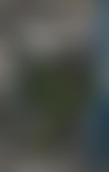 Untitled (preview)