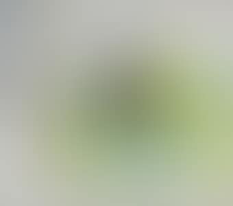 Spring and Autumn, Corsham (preview)