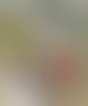 Girl in a shawl; St Paul de Vence beyond (preview)