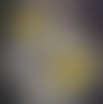 Still life (preview)