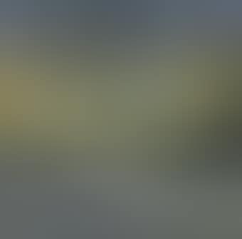 Landscape (preview)