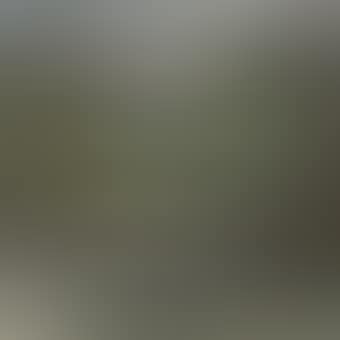 Tranquil Landscape (preview)