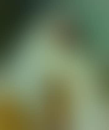 Marocaine au caftan jaune (preview)