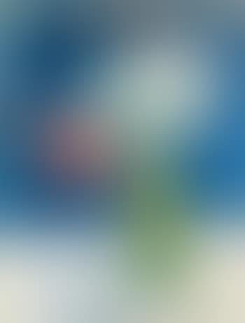 Blumen In Vase (preview)