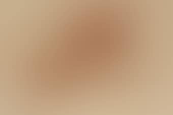 Study of resting camels (preview)