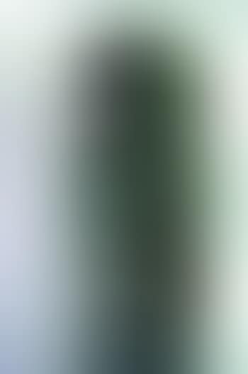 Compression voiture Venise (preview)