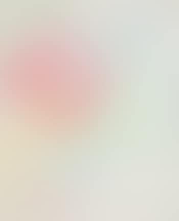 Sketch (preview)