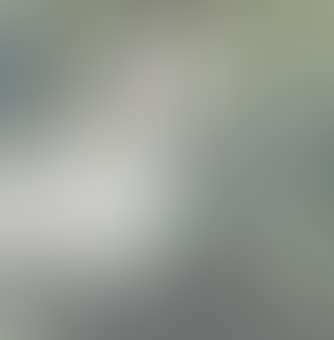 Lady Holding a Fan (preview)