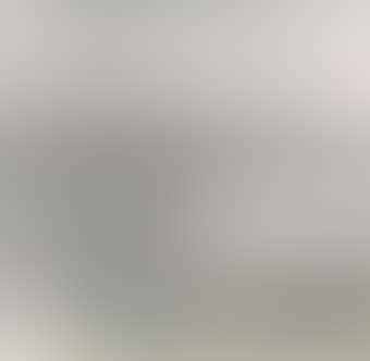 Goose Flying over the Willow Pond (preview)