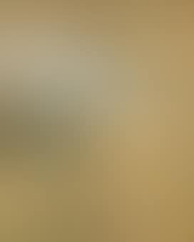 Misty Landscape (preview)
